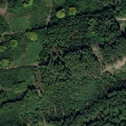 Satellite imagery of Les Včelný [Rychnov nad Kněžnou], CZ