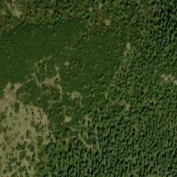 Satellite imagery of Žalostná [Bělá pod Pradědem-Adolfovice], CZ