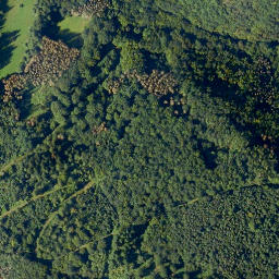 Satellite imagery of Burgberg, DE