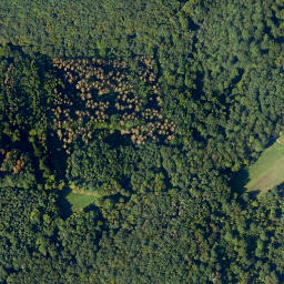 Satellite imagery of Burgberg, DE