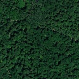 Satellite imagery of Rauenberg, DE