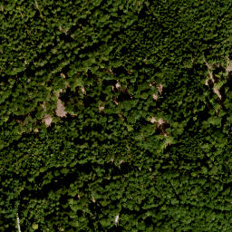 Satellite imagery of Burgjoß-Forst Aura-Flörsbachtal, FR