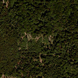 Satellite imagery of Büchelberg, DE