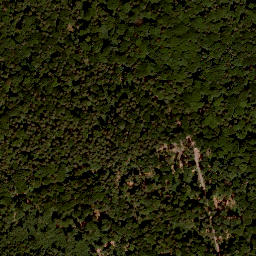 Satellite imagery of Büchelberg, DE