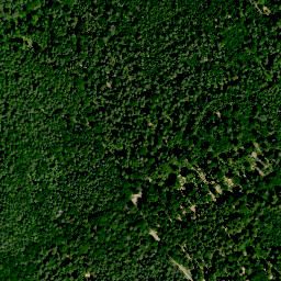 Satellite imagery of Rothügel, DE