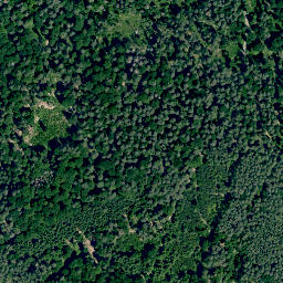 Satellite imagery of Dachsberg, DE