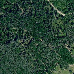Satellite imagery of Dachsberg, DE