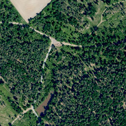 Satellite imagery of Dachsberg, DE