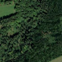 Satellite imagery of Polův kopec [Rokytnice v Orlických horách-Prostřední Rokytnice] outlook p., CZ