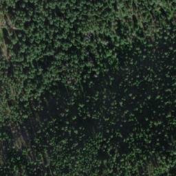 Satellite imagery of Predator Ridge, CA