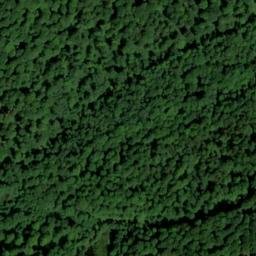 Satellite imagery of Rödelkaul, DE
