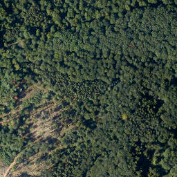 Satellite imagery of Schock, DE