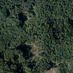 Satellite imagery of Schock, DE