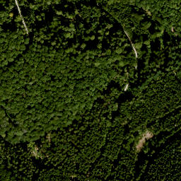 Satellite imagery of Burgjoß-Forst Aura-Flörsbachtal, FR