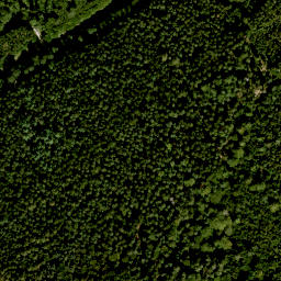 Satellite imagery of Petzchen, DE
