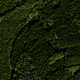 Satellite imagery of Petzchen, DE