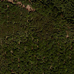 Satellite imagery of Büchelberg, DE