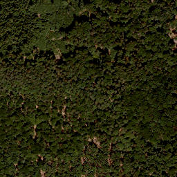 Satellite imagery of Büchelberg, DE