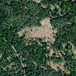 Satellite imagery of Rothügel, DE