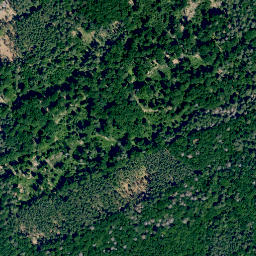 Satellite imagery of Dachsberg, DE