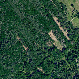Satellite imagery of Dachsberg, DE