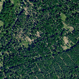 Satellite imagery of Dachsberg, DE