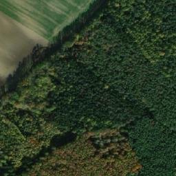 Satellite imagery of (Hradčanský les) [Opočnice], CZ