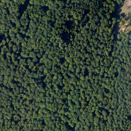 Satellite imagery of Schock, DE