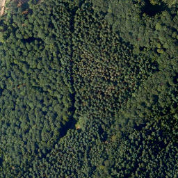 Satellite imagery of Schock, DE