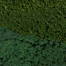 Satellite imagery of Altenberg, DE