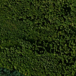 Satellite imagery of Altenberg, DE