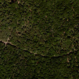 Satellite imagery of Büchelberg, DE