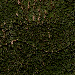 Satellite imagery of Büchelberg, DE