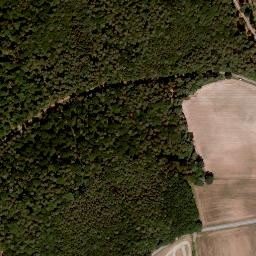 Satellite imagery of Büchelberg, DE
