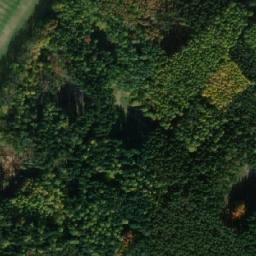 Satellite imagery of (Hradčanský les) [Opočnice], CZ