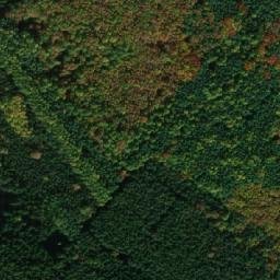 Satellite imagery of (Hradčanský les) [Opočnice], CZ