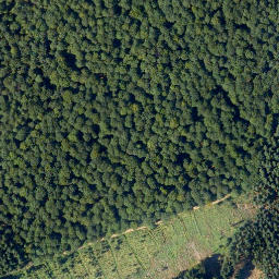 Satellite imagery of Schock, DE