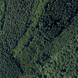 Satellite imagery of Schock, DE