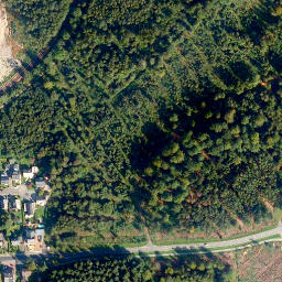 Satellite imagery of Gallscheid, DE