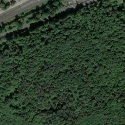 Satellite imagery of Großer Buchberg, DE