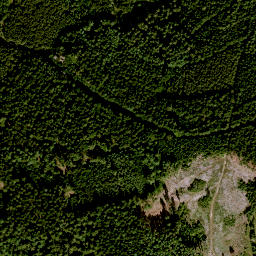 Satellite imagery of Vordere Wart, DE