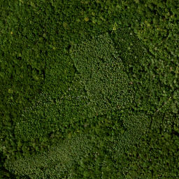 Satellite imagery of Scheinberg, DE