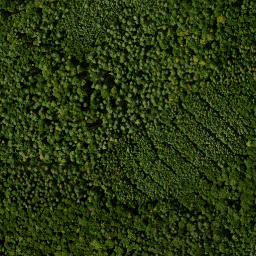 Satellite imagery of Scheinberg, DE