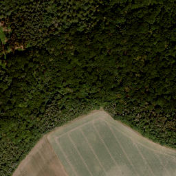 Satellite imagery of Bettenburg, DE