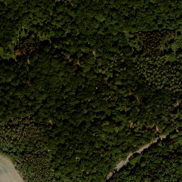 Satellite imagery of Bettenburg, DE