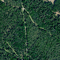 Satellite imagery of Burgstall, DE