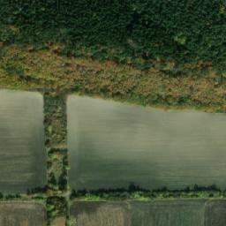 Satellite imagery of (Hradčanský les) [Opočnice], CZ