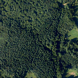 Satellite imagery of Hurtskopf, DE