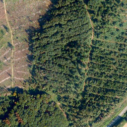 Satellite imagery of Gallscheid, DE