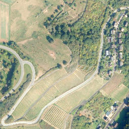 Satellite imagery of Rheinfels Castle, DE